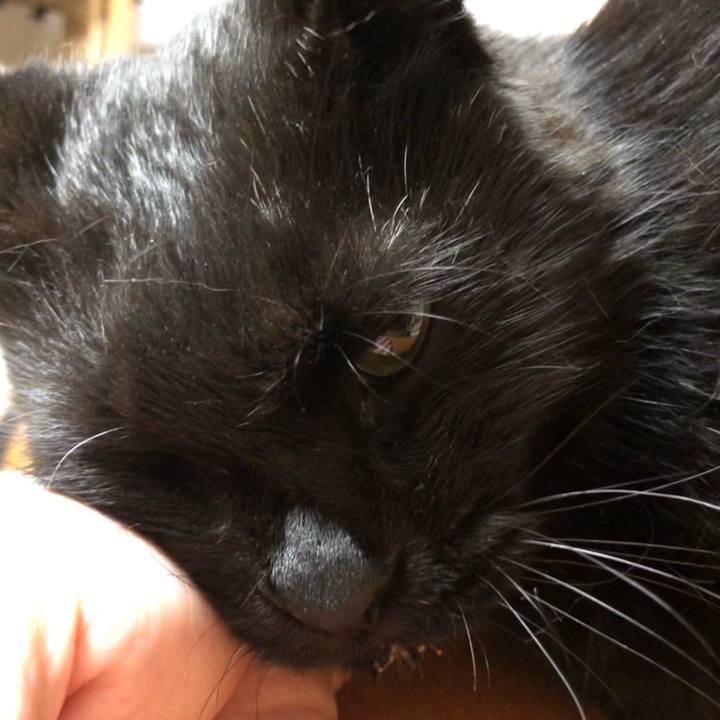 95e44c00 4b5a 42b3 b38b 2709c341e6a6 1630922133621