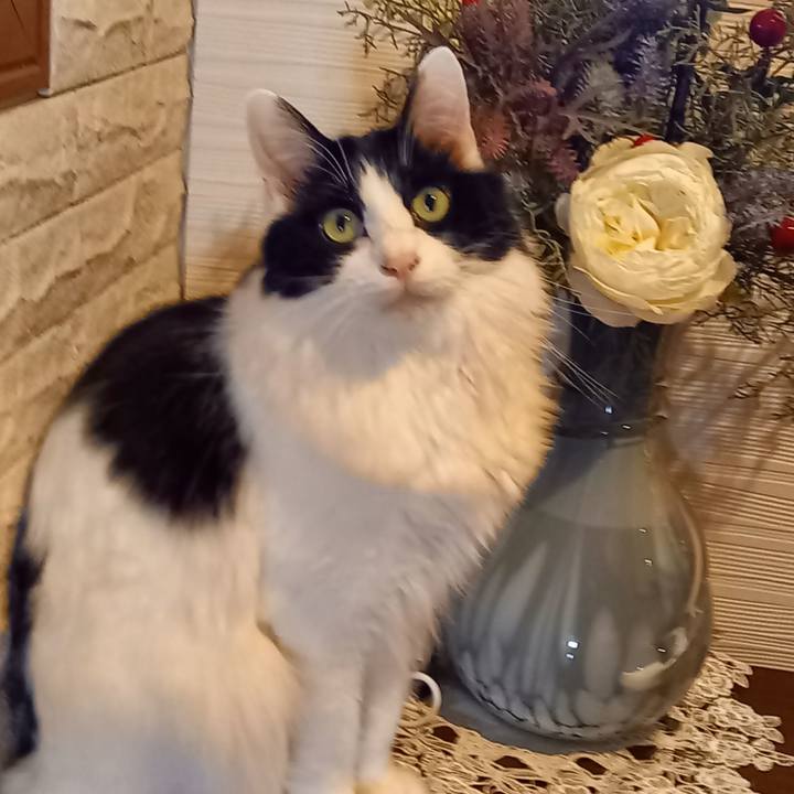 95e45de8 a5f2 42f2 9f12 c2848219637d 1609978199607