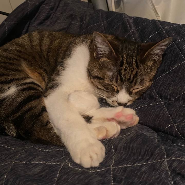 95e4743d 09a0 43cd 998a 289c6e6dec0d 1588091716555