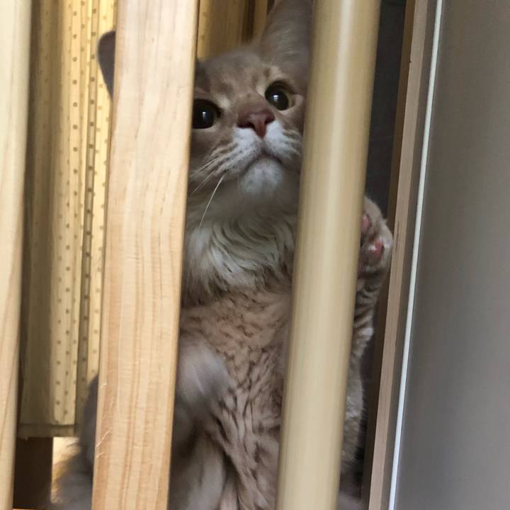 95e50e98 82fd 4c82 a34e ba20970463cb 1681612714279