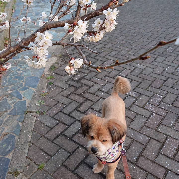 95e55efd af2a 4209 88c5 eff2e01649a1 1551396303182