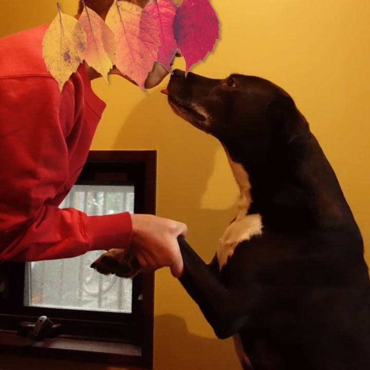 95e56709 b97b 4c90 b145 f26f3622b9ba 1668387329170