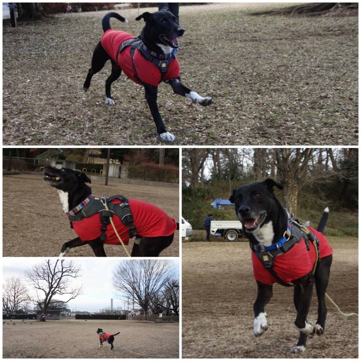 95e56755 8e18 4319 8a73 67d07dcfecff 1645666195848