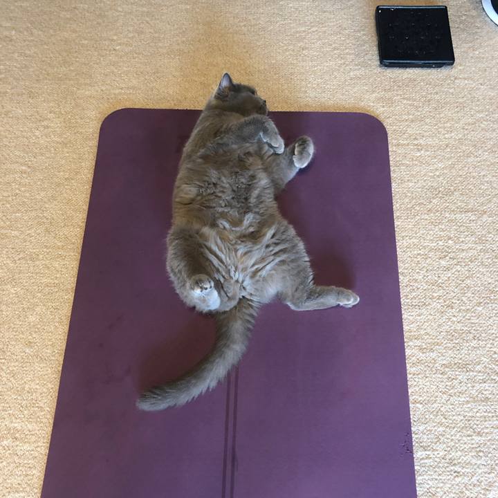 95e5698a 9893 498f 8192 74891e1e7fe8 1593745512152