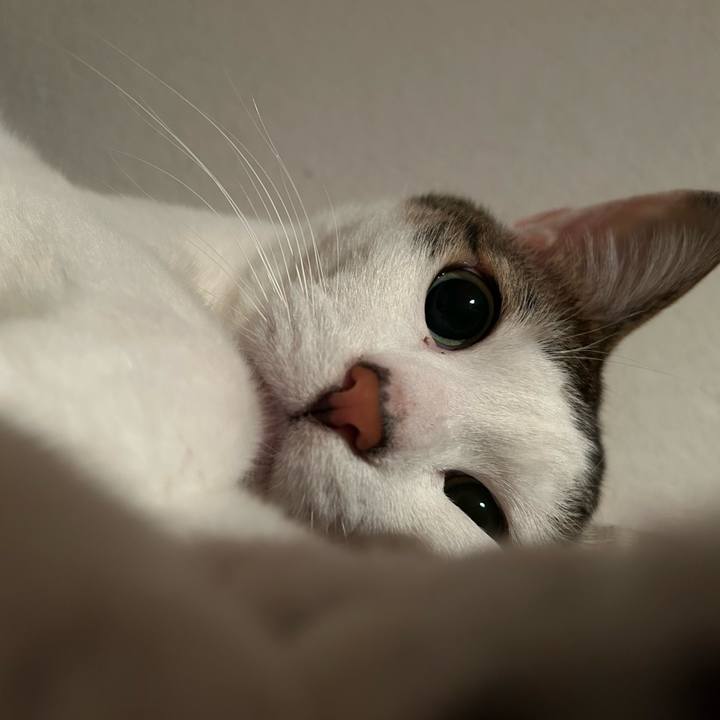 95e57f9b 14f8 4a79 8ad3 f498f6e793bc 1716305913985