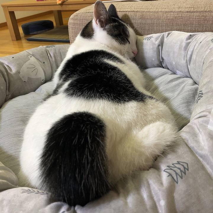 95e5e26e 60a5 4787 8e68 070294a4da9d 1695302636579