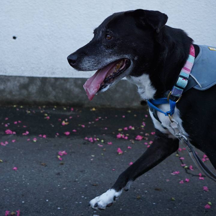 95e5fbe1 dbd8 4531 ad80 2c79763e6757 1758412798497