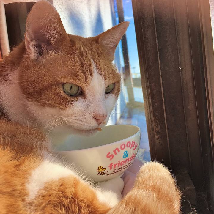 95e61706 7d49 4144 9f16 36bdcb579a89 1577954396325