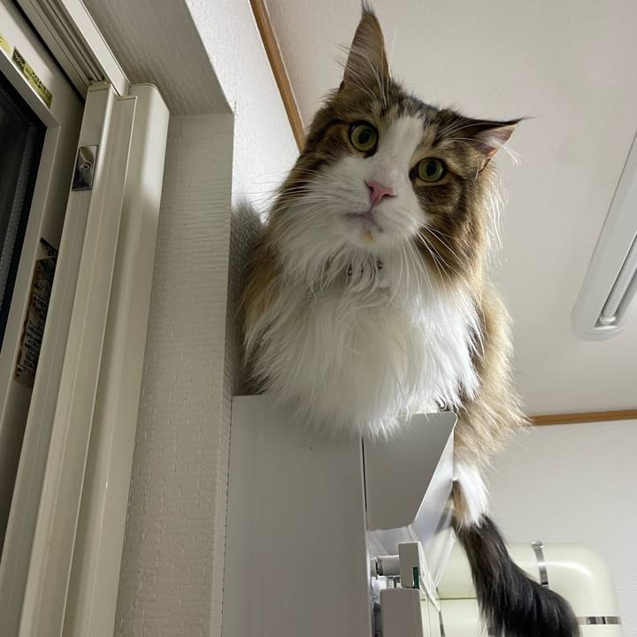 95e654a2 0381 4435 a8ca 05b839ebb7a9 1680033254715