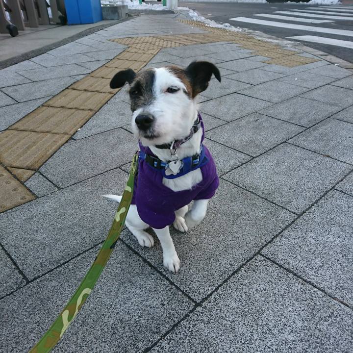 95e69b0f c691 446a a29b a06f2ee70b9f 1517177291920