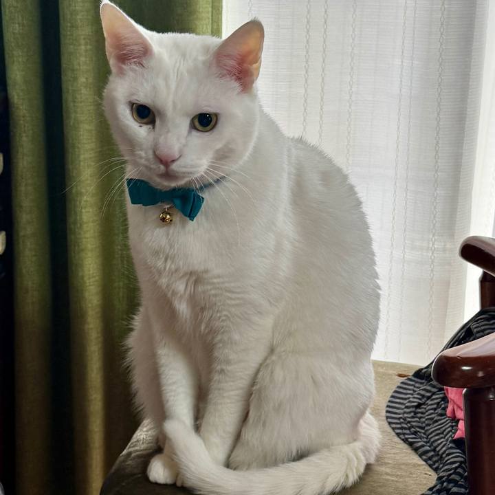 95e6a76e bd15 4b4d 81eb cd81ebdcf209 1770778820365