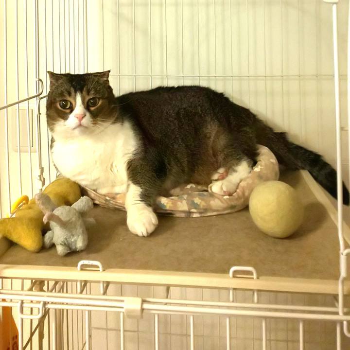 95e6c647 2bd7 4464 9f31 553b4cd98f3e 1621514928796