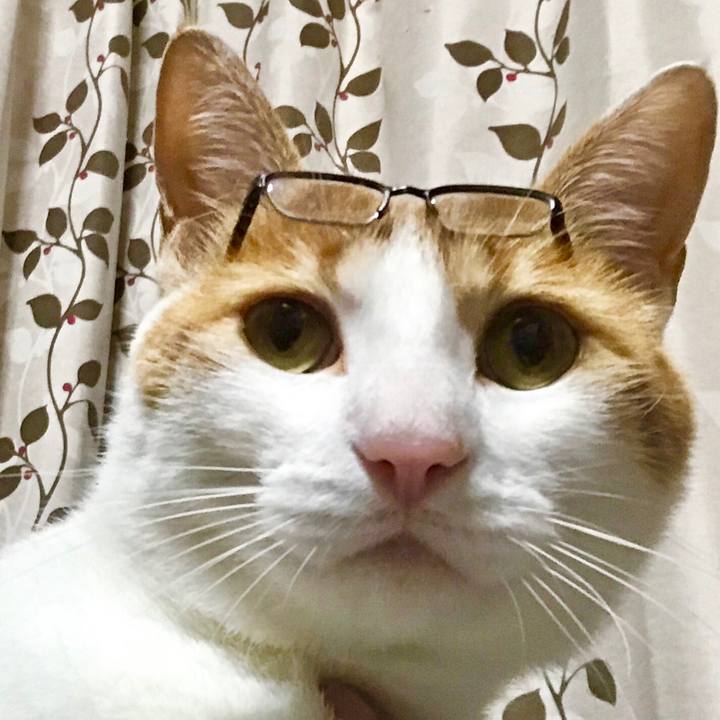 95e6d805 18b4 4c79 8853 7bbcf2cb5a36 1522325464139