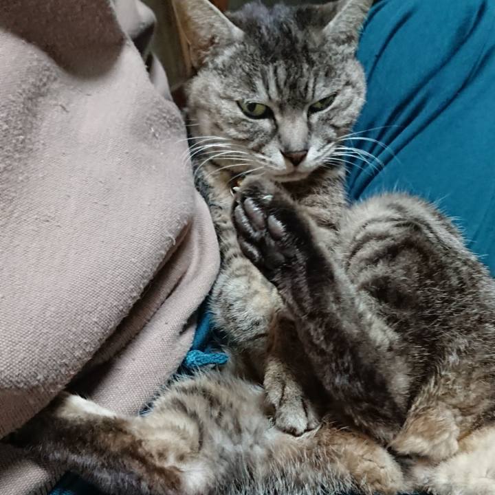 95e6fbef 1ba3 4589 acb7 ae8b7619ee36 1554718770003