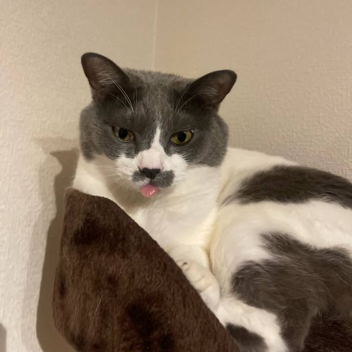 95e73dfc 3a8f 4a0e a3ed be6c633d0c13 1756119876751