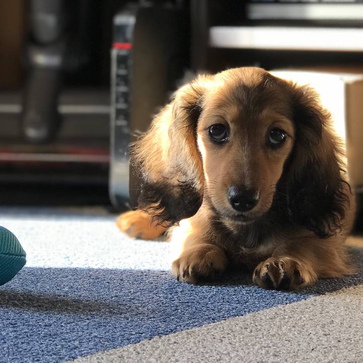 95e74f61 d1a0 4e42 8db5 aa145b00de69 1611213471164