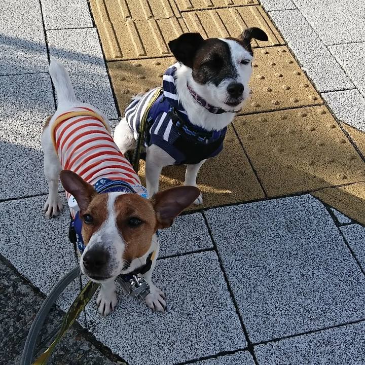 95e75672 bc39 48e2 99f8 d967d2adc415 1528150083502