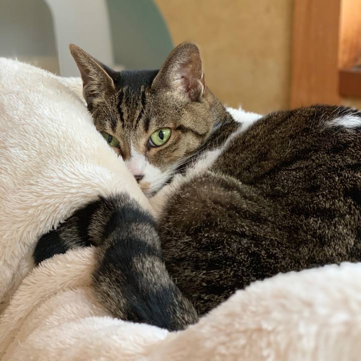 95e76ca1 7b49 4b04 8412 aec4f244a4b9 1544489687033