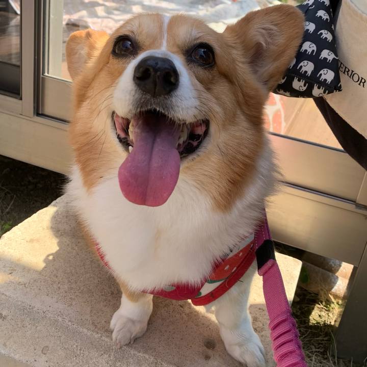 95e76d2f be1c 4556 b02a fb8a1b91ad3e 1617940172124