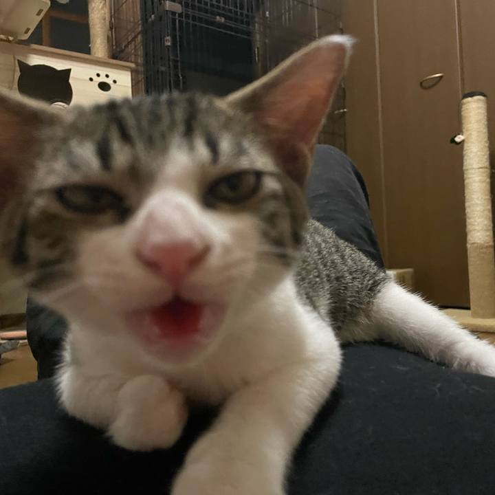 95e7aef0 cd08 40c1 bd69 d3037be181b7 1724768868180