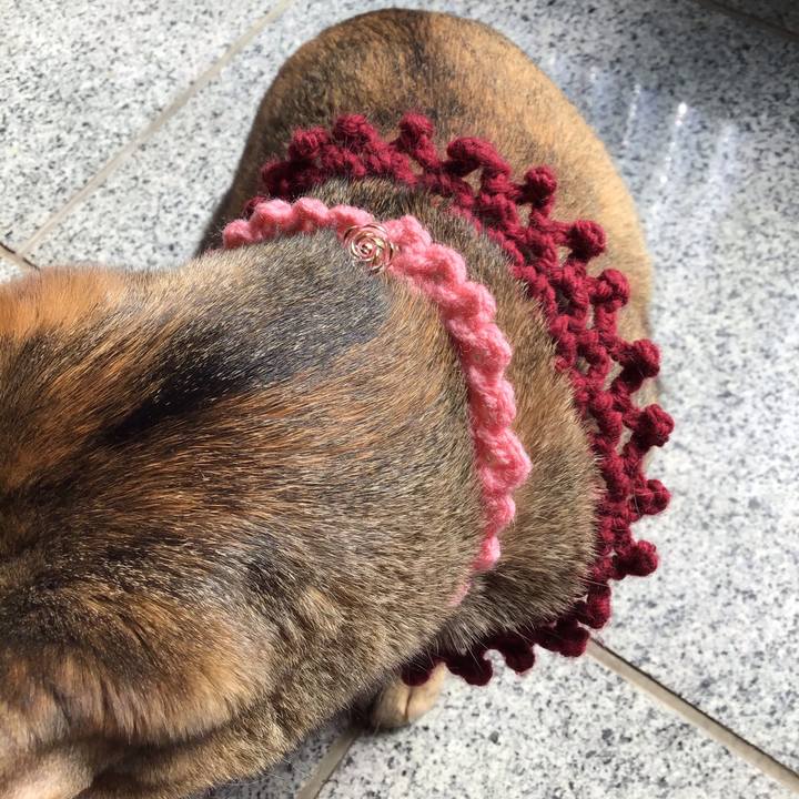 95e7e2cf 455a 4321 a9f9 b597091b8cd1 1614484932391