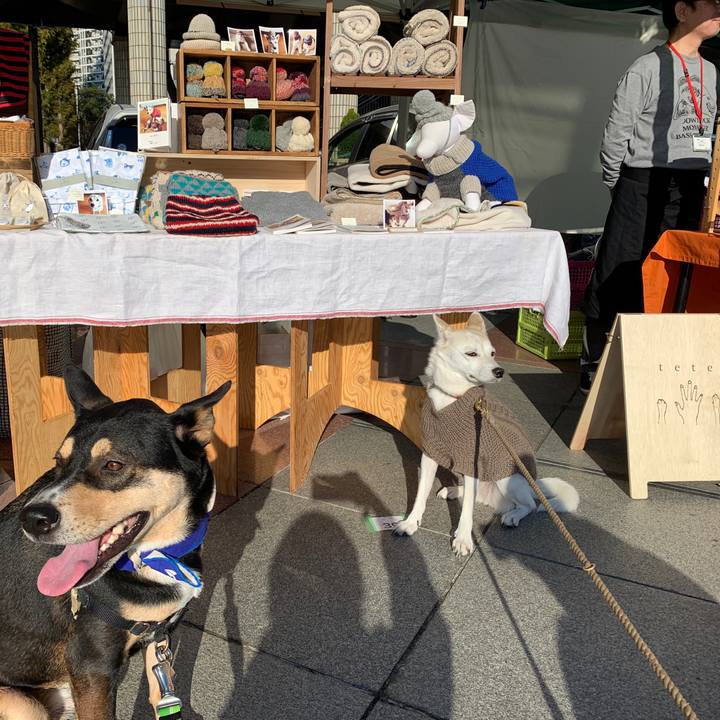 95e7e8fb a309 4bf6 b194 5423c35260d1 1575181995605