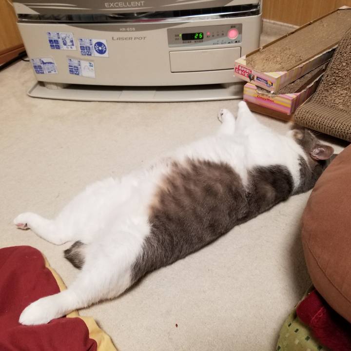 95e7e954 ceb1 4607 8df9 33774637e65b 1650342479894