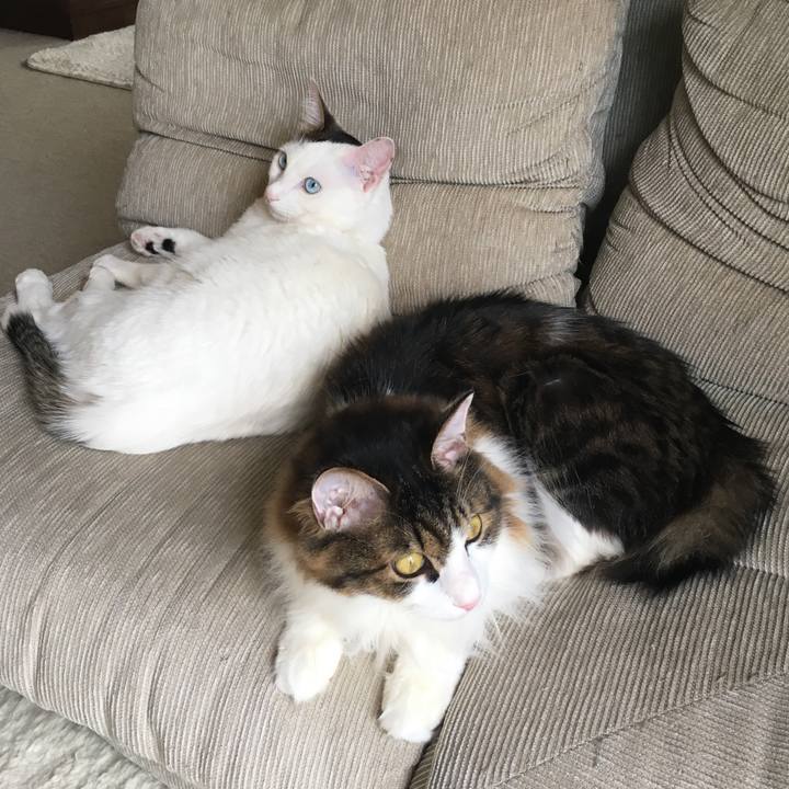 95e80546 cb57 42cc a139 365808e3257f 1518937536603