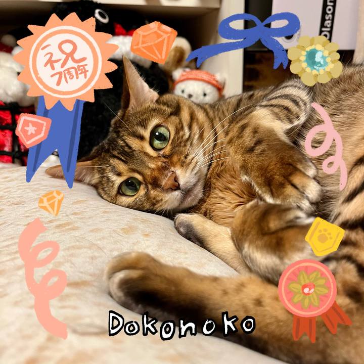 95e81357 453b 4c75 941f 4737c702a7c7 1686014251539