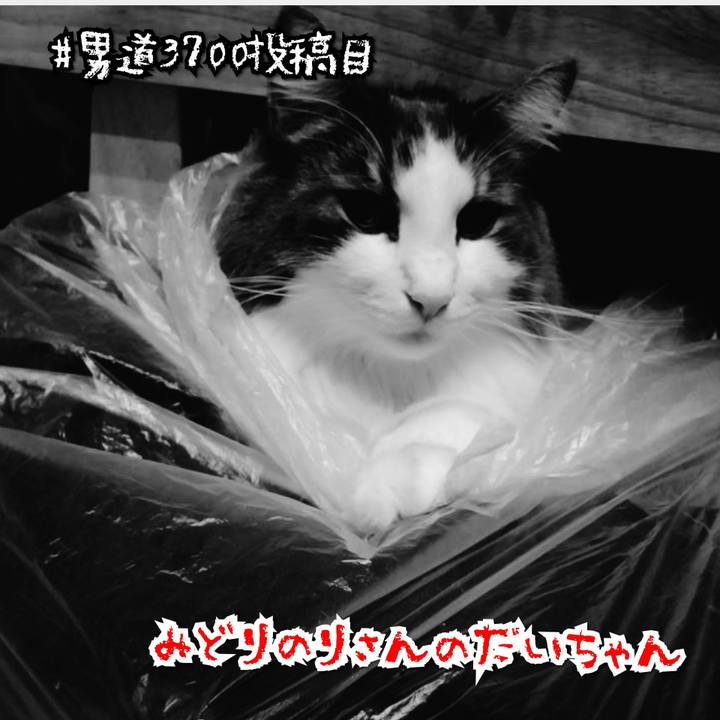 95e8507a 0f39 421d 84d2 f07434c7d8c6 1572617644529