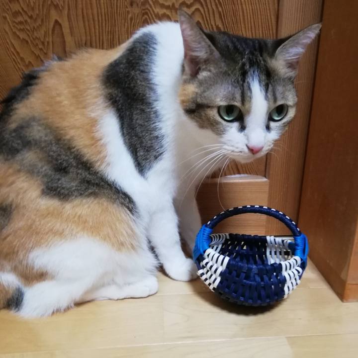 95e85ab0 206a 415a a927 f691b0b1a3ab 1725835076317