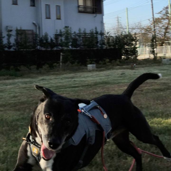 95e86ced 2cc1 407a 89da 22ac9221ebc7 1731544852145