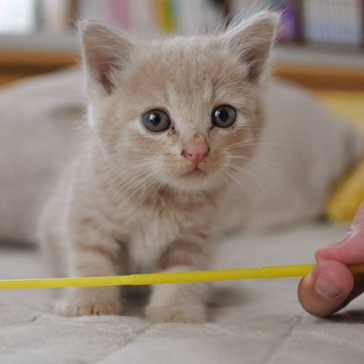 95e8778e 1ffc 491b 99c4 3669ab2d4523 1540271548415