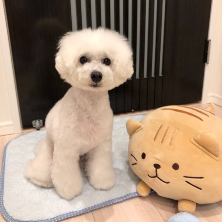 95e88994 2545 40f0 9382 9d9321e63fe4 1570179026922