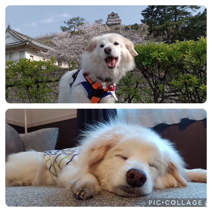 95e8930f 11f2 47b5 af36 c877067920f9 1744100903702