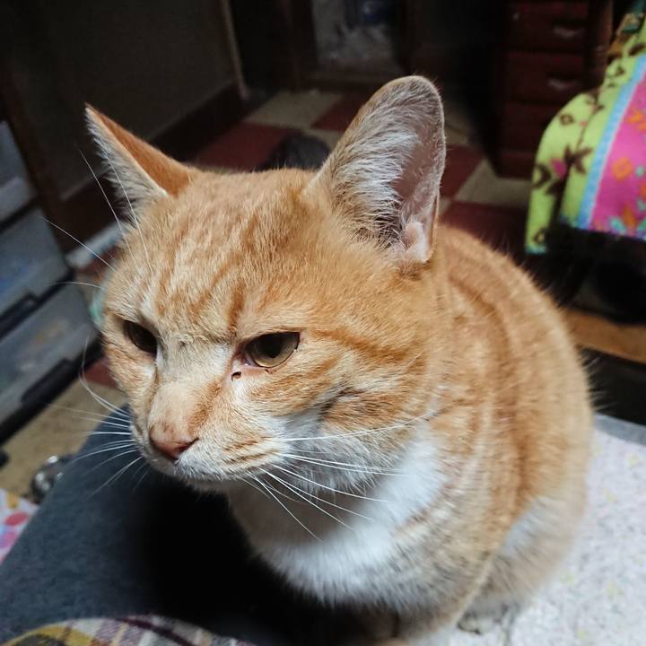 95e8d22b d64f 49cf 875e 3d0f119f10b7 1578858853637