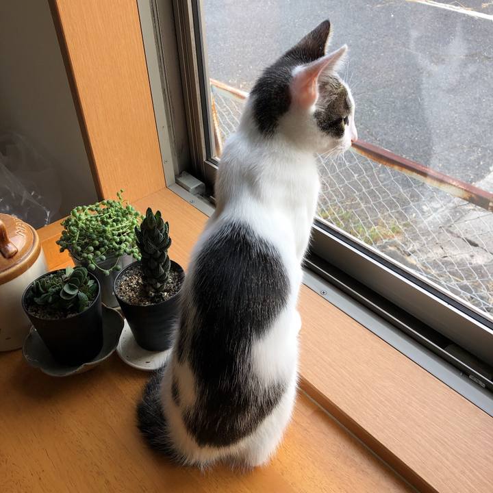 95e8fea1 219d 47cd a1af 88616c74cf32 1570745431269