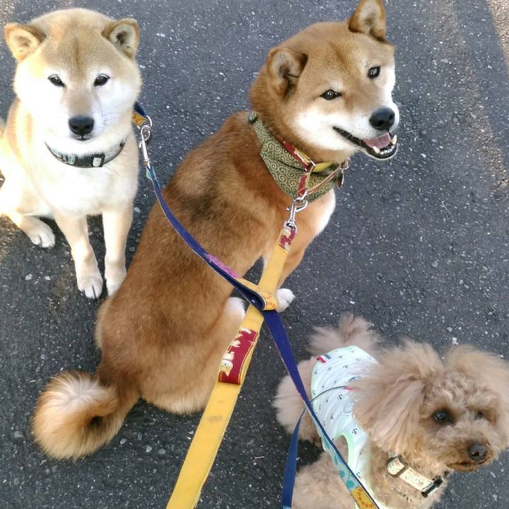 95e92bcb 371f 4c45 8ef4 0a86a731c8d6 1526983978340