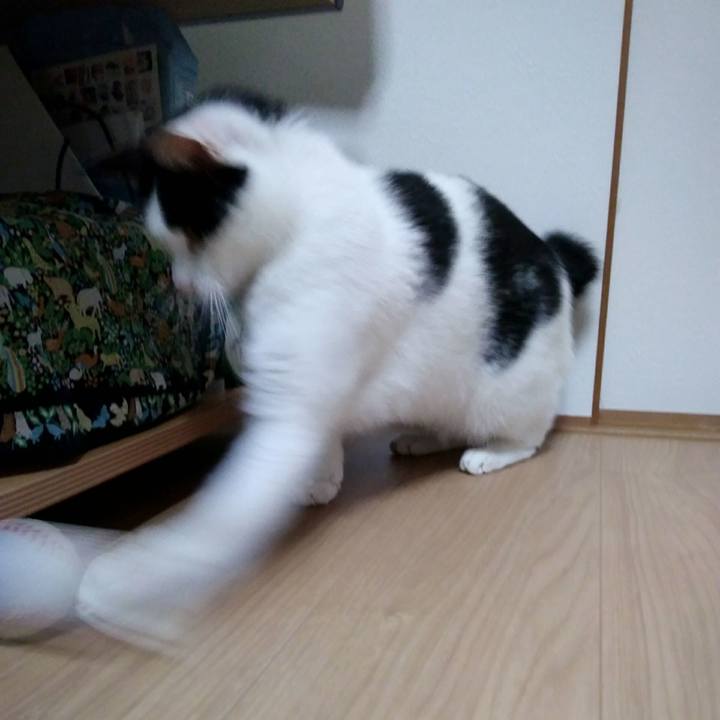 95e93883 6c5f 4cb0 aff7 fd062c83565a 1543492552559