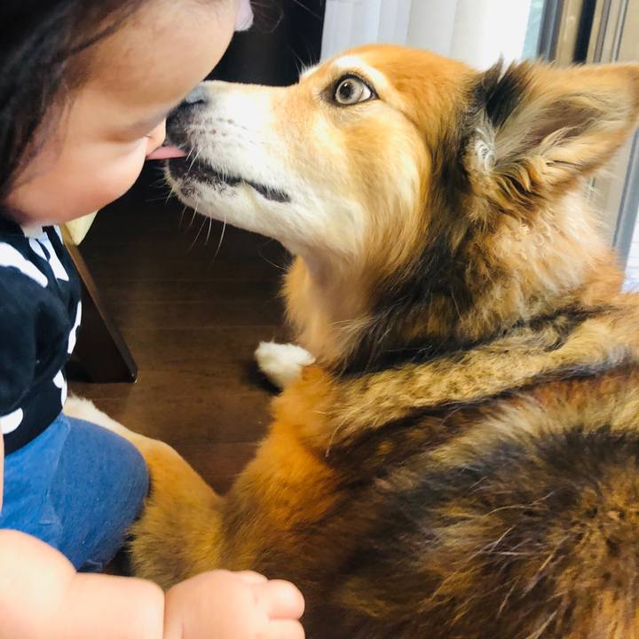 95e98263 13db 4d91 a33a 2a56ed15ce76 1599827144171