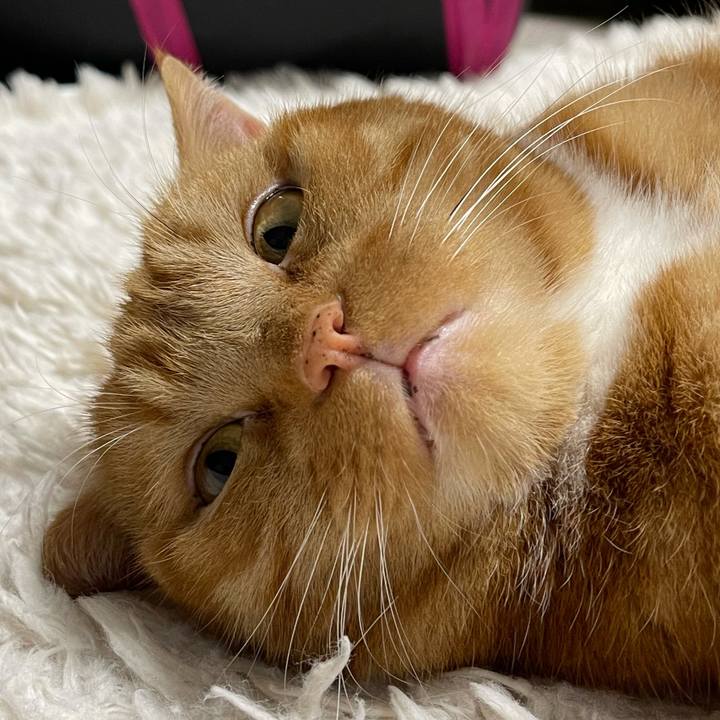 95ea09df 1f6a 487f 87e0 08a452ce5d25 1639393317159