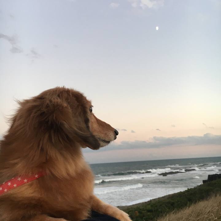 95ea14ef 270c 485c ade0 c308f846e349 1603545329245