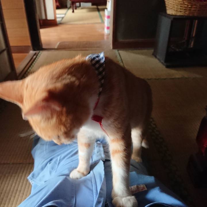 95ea1bec a398 4920 bf9b 419379663b5f 1569037852796