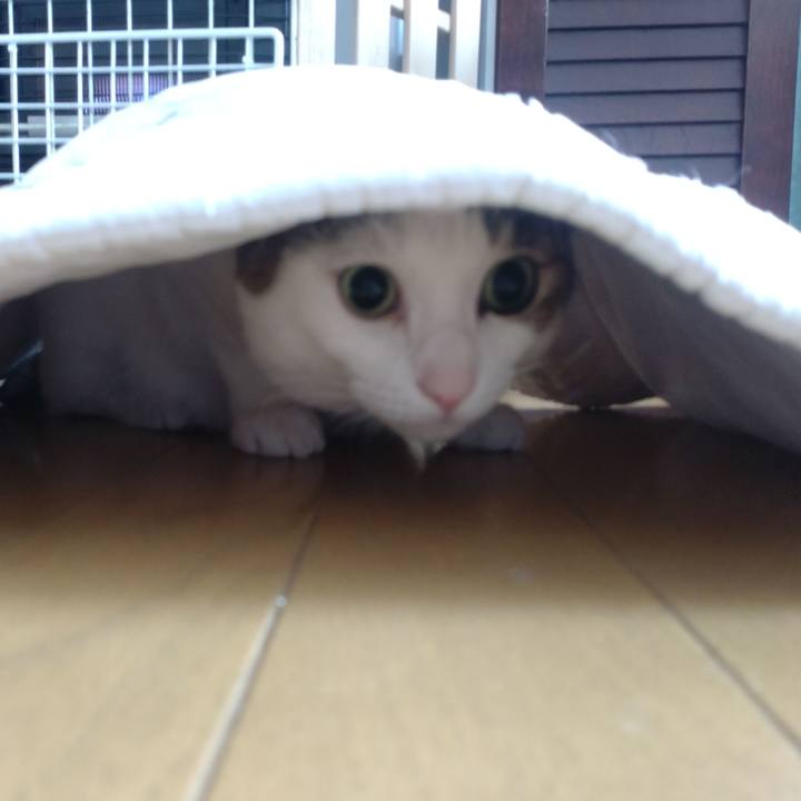 95ea53e3 0abd 43e1 aea2 905e9489225a 1758349090827