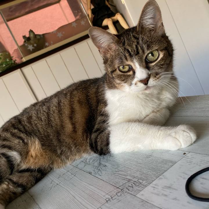 95ea8661 df29 4b71 8344 71107c17133b 1656493198529