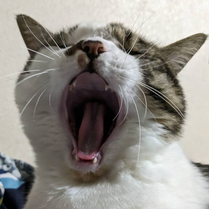 95ea8d3f 9ace 4f3c 8718 adf0ac5cf823 1691302907036