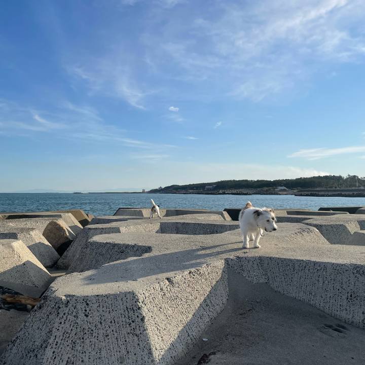 95ea9143 87d9 4572 83fd bac15e87f6df 1635118587014