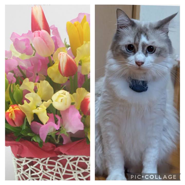 95eae672 6d6c 4191 ae72 af90924224c2 1761348677098