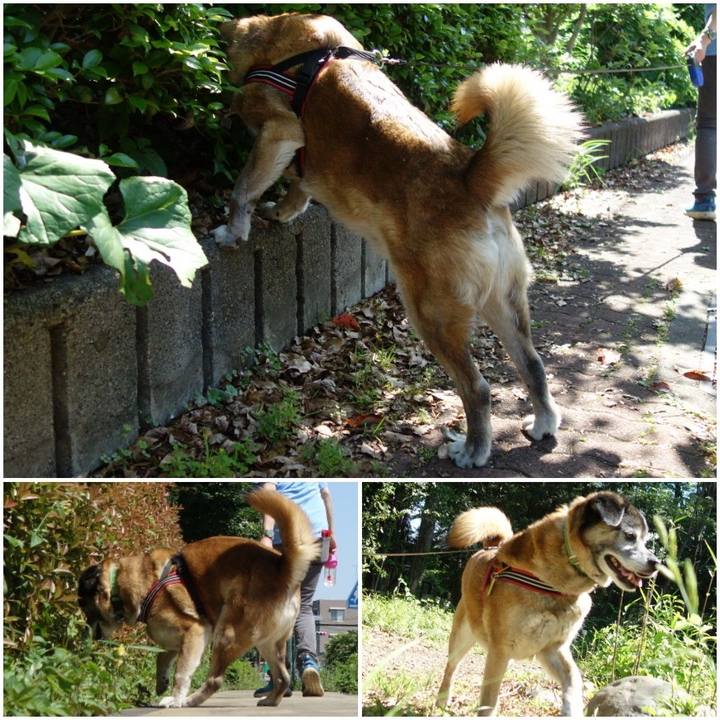 95eaf59a bcb6 47f6 9038 9591745b13b0 1558750018681