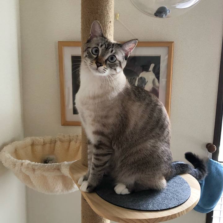 95eb077c ef2b 48e2 8027 1c2b1fd15917 1634084735838